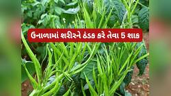 ઉનાળામાં આ 6 શાક પેટમાં કરે ઠંડક, જમવામાં આ શાક ખાશો તો પેટમાં બળતરા નહીં થાય
