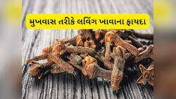 Clove: જમ્યા પછી લવિંગ ખાવાથી થતા ફાયદા જાણી મુખવાસને બદલે રોજ લવિંગ ખાવા લાગશો