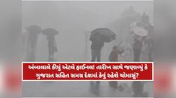 ચિંતા છોડો! અંબાલાલે કહ્યું 'ચોમાસું સારું રહેશે'; ગુજરાતમા કઇ તારીખે વરસાદનું આગમન?