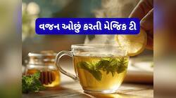 Mint Water: રોજ 1 આ ચા પી લો, ફટાફટ ઘટશે વજન અને સ્કિન પણ ગ્લો કરવા લાગશે 