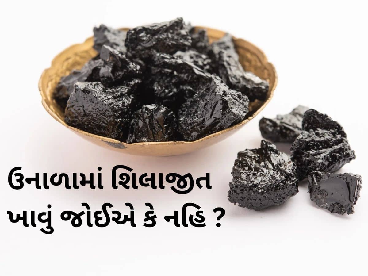 Shilajit Benefits in Summer: શું ગરમીમાં શિલાજીતનું સેવન કરી શકાય છે, એક્સપર્ટસે આપી મહત્વની જાણકારી Shilajit Benefits in Summer: શું ગરમીમાં શિલાજીતનું સેવન કરી શકાય છે, એક્સપર્ટસે આપી મહત્વની જાણકારી