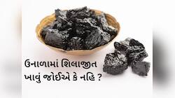 Shilajit Benefits in Summer: શું ગરમીમાં શિલાજીતનું સેવન કરી શકાય છે, એક્સપર્ટ ટિપ્સ