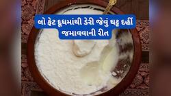 લો ફેટ દૂધમાંથી પણ ડેરી જેવું ઘટ્ટ દહીં જામશે, દૂધ ઉકાળો ત્યારે આ વસ્તુ ઉમેરી દેજો