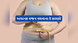 Weight Gain Reasons: ખોરાકના કારણે જ નહીં શરીરની અંદરની આ 5 ખામીઓના કારણે પણ વજન વધે