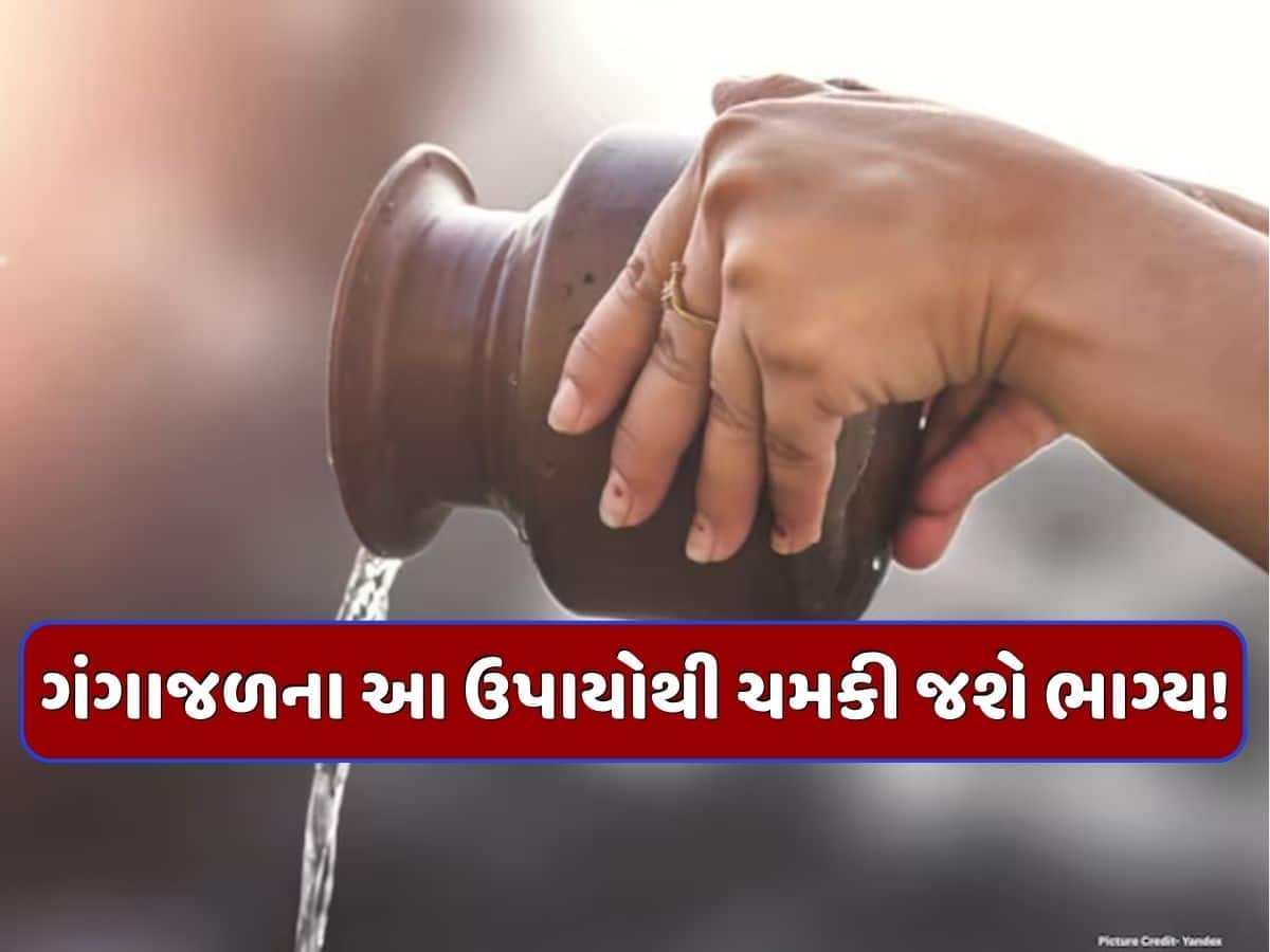 Ganga Saptami 2026: ગંગા સપ્તમી પર ગંગાજળથી કરો આ ખાસ ઉપાયો, ધન-દોલતની સાથે સુખ-સમૃદ્ધિમાં થશે વધારો! Ganga Saptami 2026: ગંગા સપ્તમી પર ગંગાજળથી કરો આ ખાસ ઉપાયો, ધન-દોલતની સાથે સુખ-સમૃદ્ધિમાં થશે વધારો!