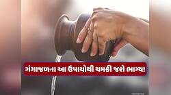 ગંગા સપ્તમી પર ગંગાજળથી કરો આ ખાસ ઉપાયો, ધન-દોલતની સાથે સુખ-સમૃદ્ધિમાં થશે વધારો!