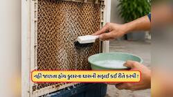 કુલરનું ઘાસ થઈ ગયું છે કડક? પાણીનો ખાર આ ઘરેલું ઉપાયથી કરો દૂર, આવવા લાગશે ઠંડી હવા