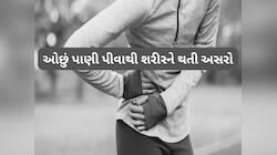 ઉનાળામાં ઓછું પાણી પીવાથી કિડની, હાર્ટ સહિતના અંગો પર થતી ખરાબ અસરો વિશે જાણો