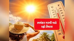 ગુજરાતીઓ સંભાળીને રહેજો! આ વખતે ભયંકર ગરમી અને હિટવેવ રેકોર્ડ તોડશે? રાજ્યોને એલર્ટ 