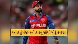 પંજાબની હારનો સૌથી મોટો ગુનેગાર કોણ ? કેપ્ટન ઐયરે કોના પર ફોડ્યું હારનું ઠીકરું