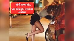 હાઈ લા! અહીં તો ઓનલાઈન ઓર્ડર કરતા જ છોકરીની થાય છે ડિલિવરી, નામ જાણી નવાઈ પામશો