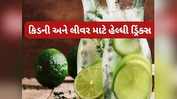 લીવર અને કિડનીને હેલ્ધી રાખવા પીઓ આ 4 દેશી ડ્રિંક્સ, ઉનાળામાં શરીરને ઠંડક પણ કરશે