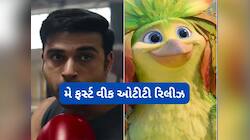 મે મહિનાના ફર્સ્ટ વીકેન્ડ પર ઓટીટી પર જોવા માટે છે ઘણું બધું નવું, ચેક કરી લો લીસ્ટ