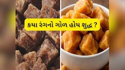Jaggery: બ્રાઉન કે પીળો.. કયા રંગના ગોળનો ઉપયોગ કરવો હેલ્થ માટે સારો ?