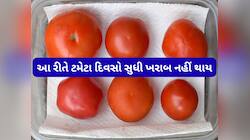ગરમીમાં પણ ટમેટા સડશે નહીં, ફ્રીજમાં આ રીતે મુકજો ટમેટા, 15 દિવસ એકદમ ફ્રેશ રહેશે