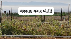 આ રીતે કરો ખેતી, વરસાદ વગર પણ થશે રેકોર્ડ ઉત્પાદન, જાણો રેનલેસ ફાર્મિંગની પદ્ધતિ