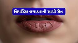 Beauty Hacks: મેટ લિપસ્ટિક આ રીતે લગાડવાથી મળશે પરફેક્ટ લુક, હોઠ ફાટેલા નહીં દેખાય