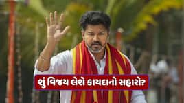 તમિલનાડુમાં સત્તાની ખેંચતાણ! શું વિજય રાજ્યપાલ વિરુદ્ધ કોર્ટ જઈ શકે? જાણો