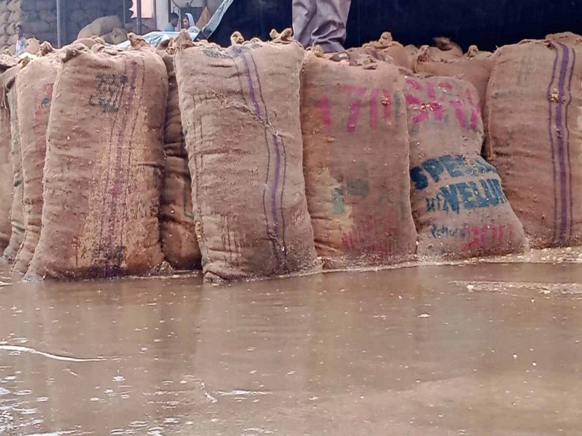 Monsoon Shadow Gujarat Monsoon's early shadow, How above normal May rain is set to ...
