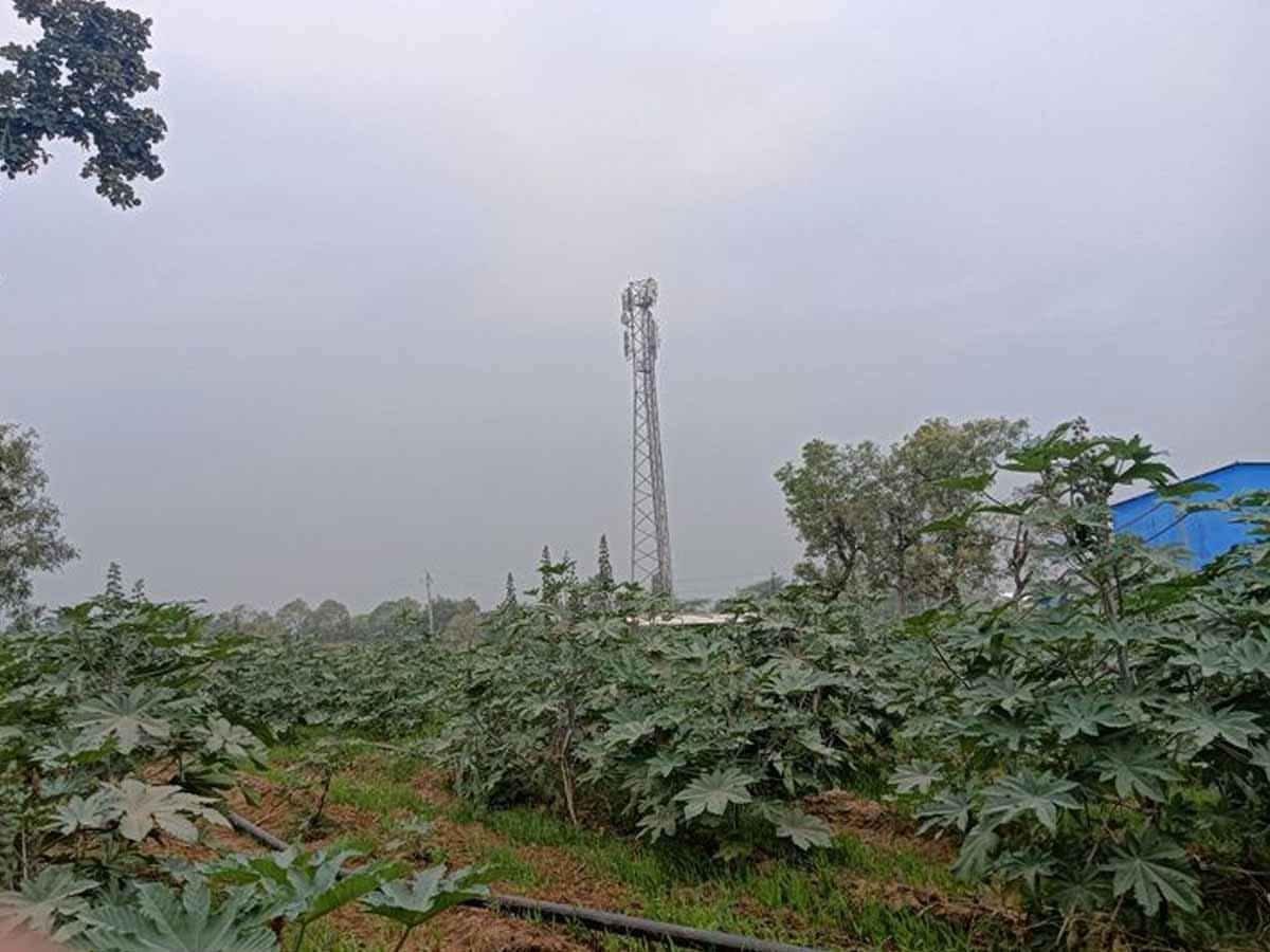 Monsoon Shadow Gujarat Monsoon's early shadow, How above normal May rain is set to ...
