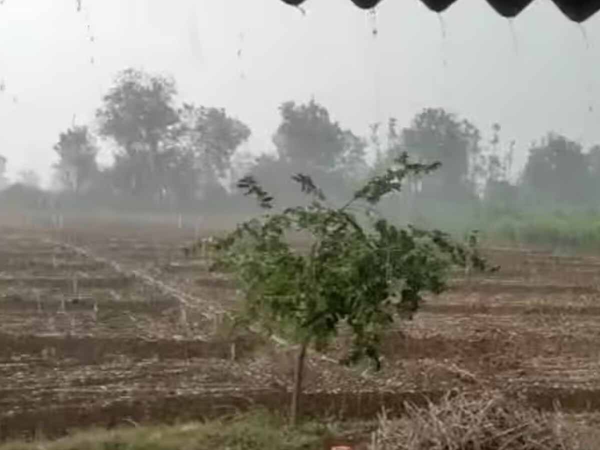 Monsoon Shadow Gujarat Monsoon's early shadow, How above normal May rain is set to ...