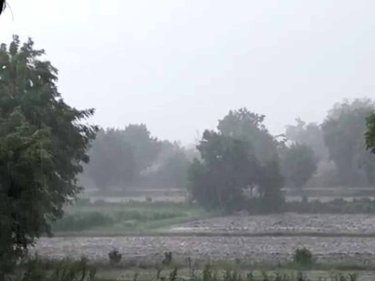 Monsoon Shadow Gujarat Monsoon's early shadow, How above normal May rain is set to ...