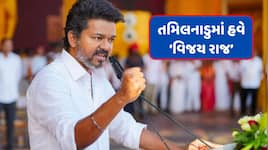 તમિલનાડુના CM બન્યા થલાપતિ વિજય, રાજ્યપાલે લેવડાવ્યા પદ અને ગોપનીયતાના શપથ