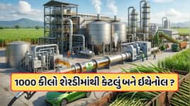 1 ટન શેરડીમાંથી કેટલું ઇથેનોલ બને છે? જાણો કેવી રીતે તૈયાર થાય છે ગ્રીન ફ્યૂલ 