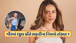 Video Viral: રકુલ પ્રીતે ગુજરાતના ગીર જંગલમાં નિયમો તોડ્યા? અધિકારીઓએ શું કહ્યું ? 