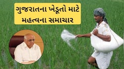 ખાતરની કાળાબજારી રોકવા માટે ગુજરાત સરકારનું મોટુ એક્શન, ખેડૂતો માટે રાહતના સમાચાર