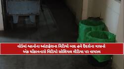ના હોય? ગુજરાતની આ હોસ્પિટલમાં ઉંદરોનો 'જબરો' ત્રાસ! સારવાર કરાવવા જતા હોય તો સાવધાન
