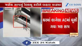 બાપરે! ઘરમાં લાગેલા ACમાંથી નીકળ્યા 3 સાપ, જુઓ Video 