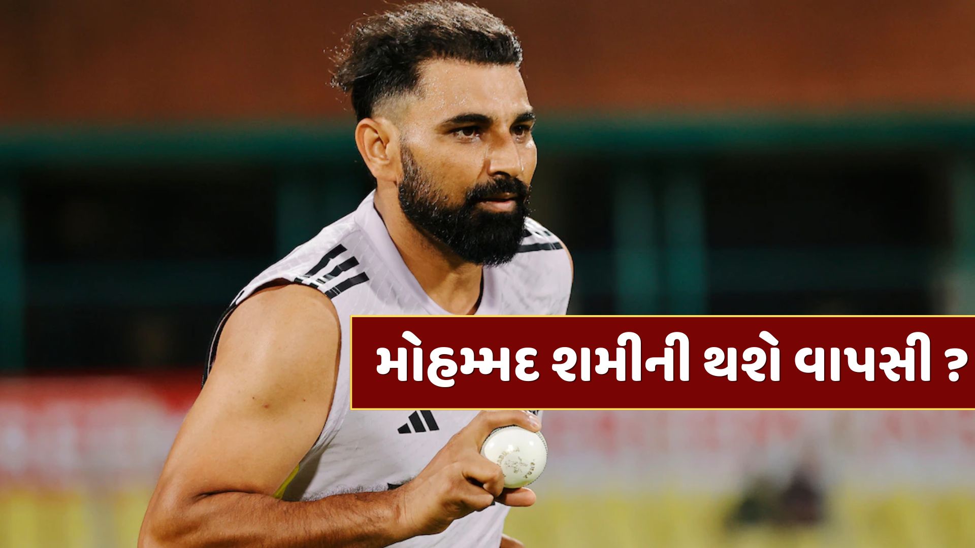 ટીમ ઈન્ડિયા અંગે મોટો નિર્ણય લેવાની તૈયારીમાં BCCI, મોહમ્મદ શમીની 3 વર્ષ બાદ થશે વાપસી ? ટીમ ઈન્ડિયા અંગે મોટો નિર્ણય લેવાની તૈયારીમાં BCCI, મોહમ્મદ શમીની 3 વર્ષ બાદ થશે વાપસી ?