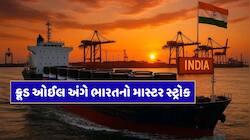ભારતે ઓઈલ માટે રશિયા સાથે કર્યું એવું સેટિંગ કે હવે અમેરિકા પણ કંઈ નહીં કરી શકે