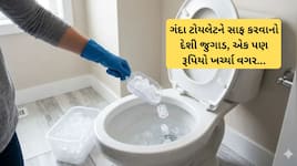 અઠવાડિયામાં એકવાર ટોયલેટમાં બરફના ટુકડા નાંખીને જુઓ, બહુ કામનો છે આ દેશી જુગાડ 