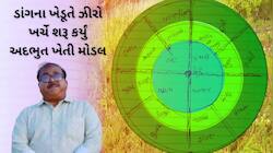 ડાંગના પાટીદાર ખેડૂતનું ઝીરો બજેટ ખેતી મોડલ : એક જ ખેતરમાં શાકભાજી-ફળ-વેલા એકસાથે ઉગ