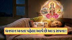 અમીર બનતા પહેલા આવે છે આ 5 સપના! શું તમે પણ આમાંથી કંઈ જોયું છે ?