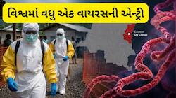 દુનિયામાં વધુ એક ખતરનાક વાયરસની એન્ટ્રી : 65 લોકોના જીવ ગયા, WHO પણ એલર્ટ થયું 