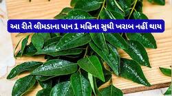1 મહિના સુધી મીઠો લીમડો વાપરી શકશો, તાજા પાનને સારી રીતે સાફ કરી આ રીતે સ્ટોર કરી લો