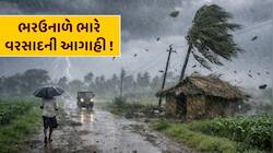 કાળઝાળ ગરમી વચ્ચે રાહતના સમાચાર, આ વિસ્તારોમાં વાવાઝોડા સાથે ભારે વરસાદની આગાહી !