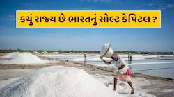 ભારતના આ રાજ્યને કહેવાય છે 'સોલ્ટ કેપિટલ', આખા દેશને પૂરું પાડે છે મીઠું