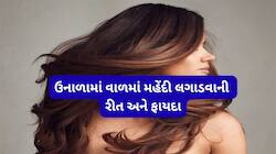 ગરમીમાં વાળ અને સ્કેલ્પ માટે બેસ્ટ છે મહેંદીનું આ હેર માસ્ક, અઠવાડીયામાં એકવાર લગાડો