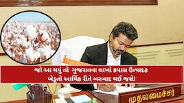 CM વિજયની કપાસ પરની આયાત ડ્યુટી હટાવવાની માંગ સામે ગુજરાતના ખેડૂતોમાં ભારે આક્રોશ
