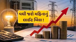 મોંઘવારીનો વધુ એક માર ! સરકાર વધારવા જઈ રહી છે મહિનાનું લાઈટ બિલ ? 