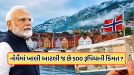 PM મોદી જે નોર્વે દેશ ગયા ત્યાં કેટલી છે ભારતના 500 રૂપિયાની કિંમત? જાણીને ચોકી જશો