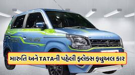 ન પેટ્રોલની રામાયણ કે ચાર્જિંગની ચિંતા નહીં... આવી રહી છે, પહેલી ફ્લેક્સ ફ્યુઅલ કાર