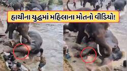 ફરવા જાઓ ત્યારે સાવધાન, હાથીઓનું રૌદ્ર સ્વરૂપ, મહિલાનું મોત, વીડિયો જોઈ રૂંવાડા થયા