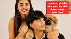 રાતે 2 વાગ્યે શાહરૂખ ખાને કબરમાંથી કાઢ્યો હતો પોતાના શ્વાનનો મૃતદેહ, શું બન્યું હતું