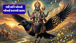 ભારે હોય છે શનિની વક્રી ચાલ, પરંતુ આ 4 રાશિવાળાનું ભાગ્ય ચમકી જશે, બનાવશે ધનાઢ્ય!