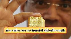 શું સોના અને ચાંદીમાં રોકાણ કરવાનો આ યોગ્ય સમય છે? JP મોર્ગનની મોટી ભવિષ્યવાણી, જાણો